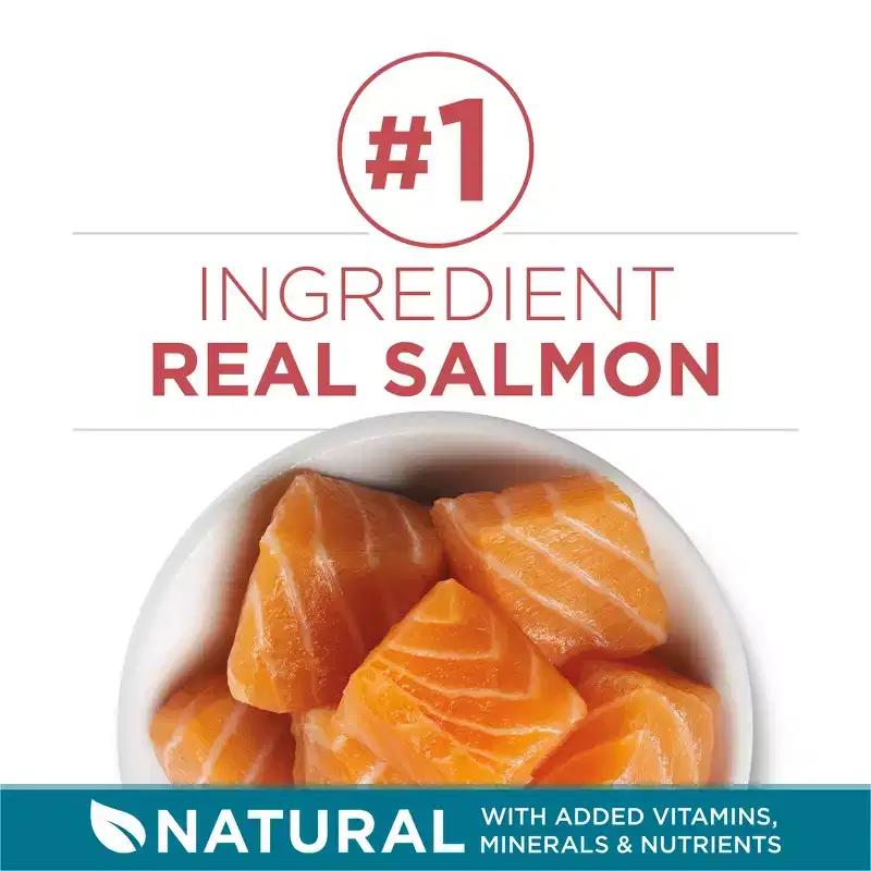 Purina ONE Tender Selects Blend Natural Real Salmon & Fish Flavor Dry Cat Food