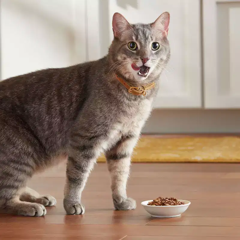 Meow Mix Tender Favorites Liver Turkey Chicken and Beef Flavor Wet Cat Food - 33oz