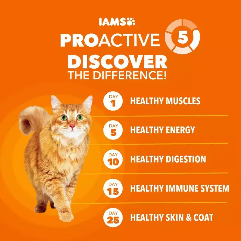 IAMS Proactive Health Chicken Flavor Dry Cat Food