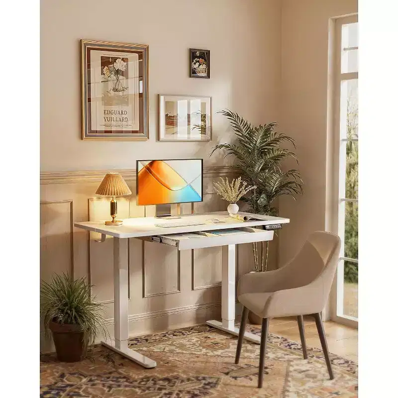 ErGear 44X24 Electric Standing Desk with Drawers, Height Adjustable Desk with 4 Preset Heights, Ergonomic Rising Home Office Computer Table, White
