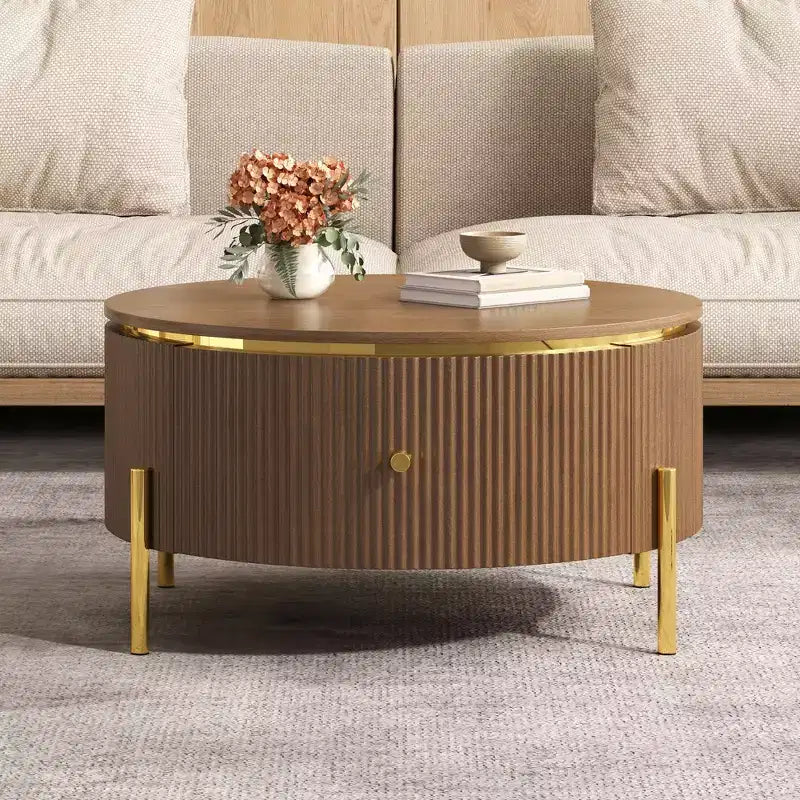 Modern Round Coffee Table with 2 Large Storage Drawers, 31.5 Accent Table for Living Room, Brown