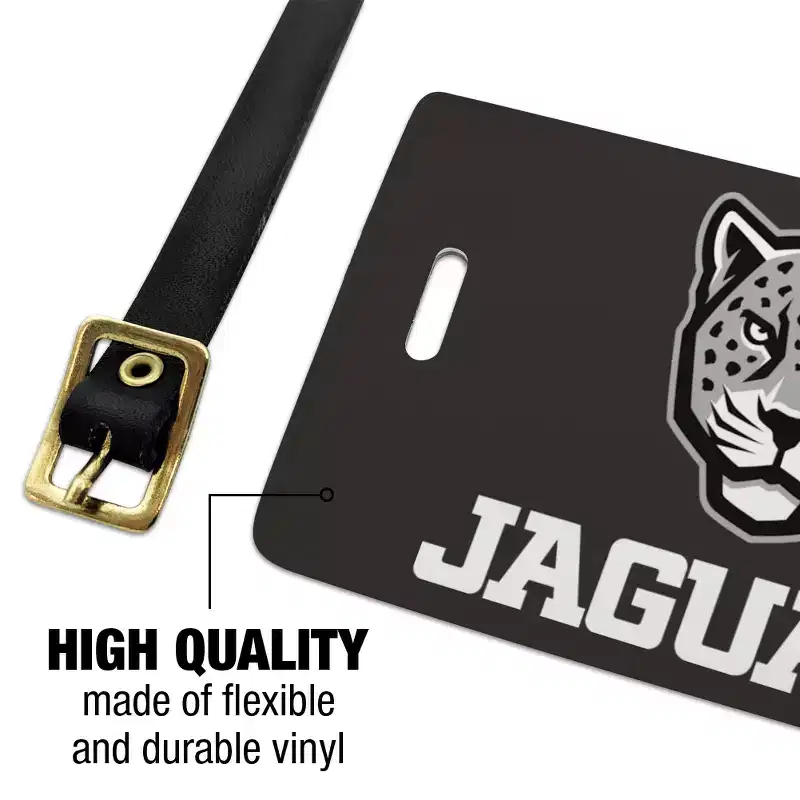 Texas AM UniversitySan Antonio Secondary Logo Luggage ID Tags Suitcase CarryOn Cards Set of 2